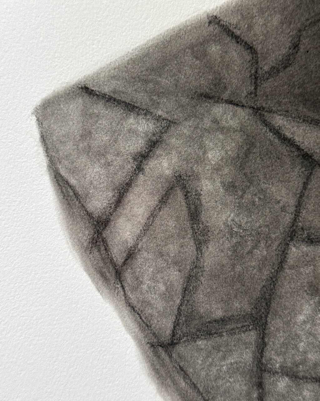 Sage - Unbroken Charcoal Drawing