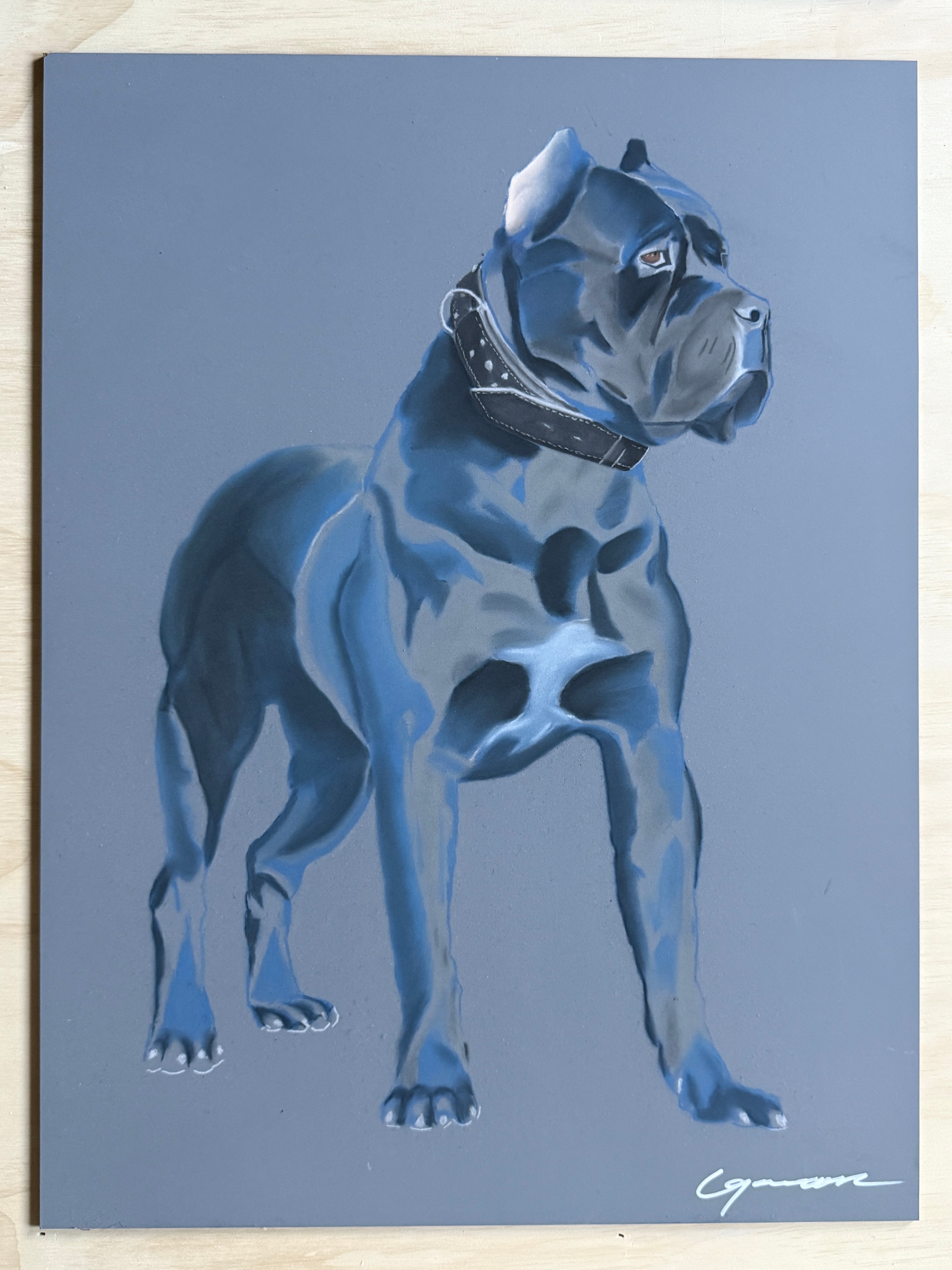 Trained, Pastel on Panel, 18x24in
