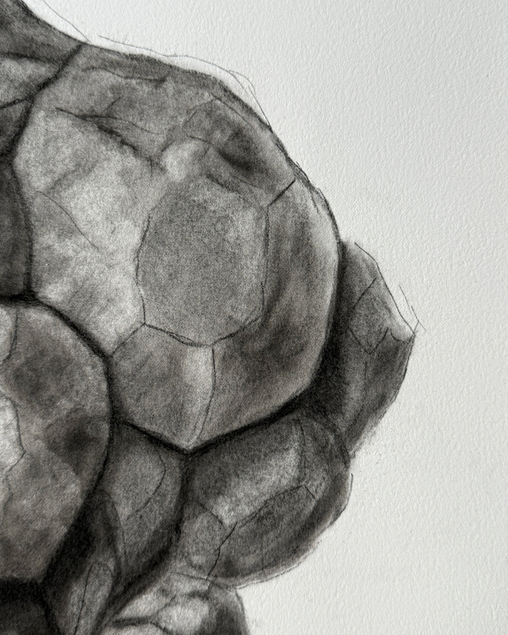 Queen - Unbroken Charcoal Drawing